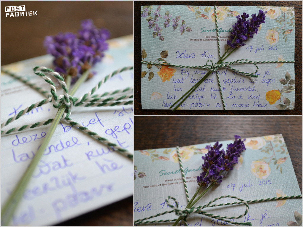 Bloemen Drogen Lavendel-001