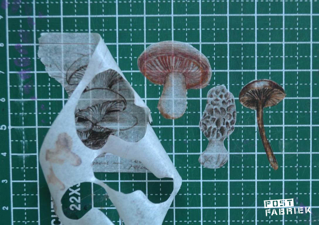 uitgesneden paddenstoelen