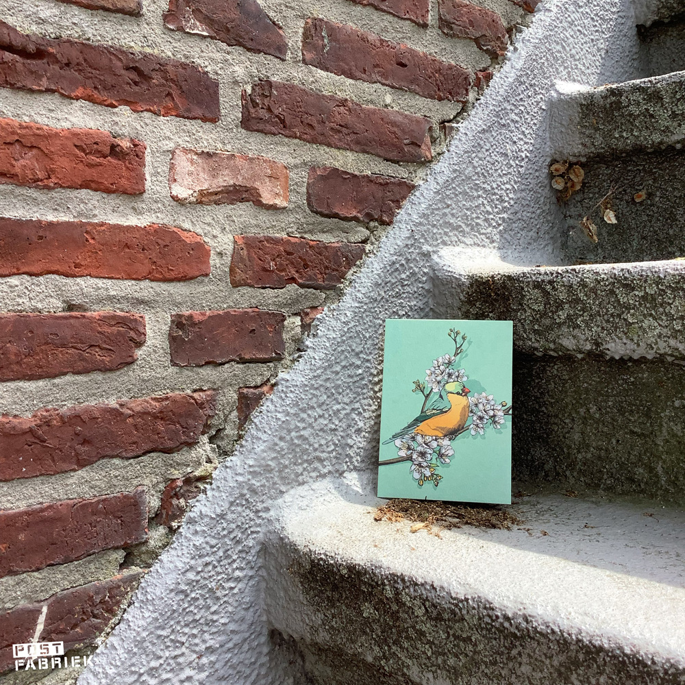 Ansichtkaart op een trap ergens in Groningen. De kaart is gemaakt door Illi.