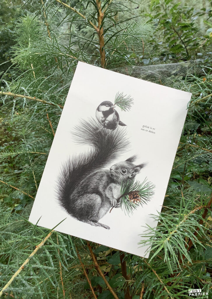 ‘Geluk is er om te delen’
Kaartjes illustratie van een eekhoorn en een koolmees, getekend door William Mooijman. Te koop in de shop van Mélisse.