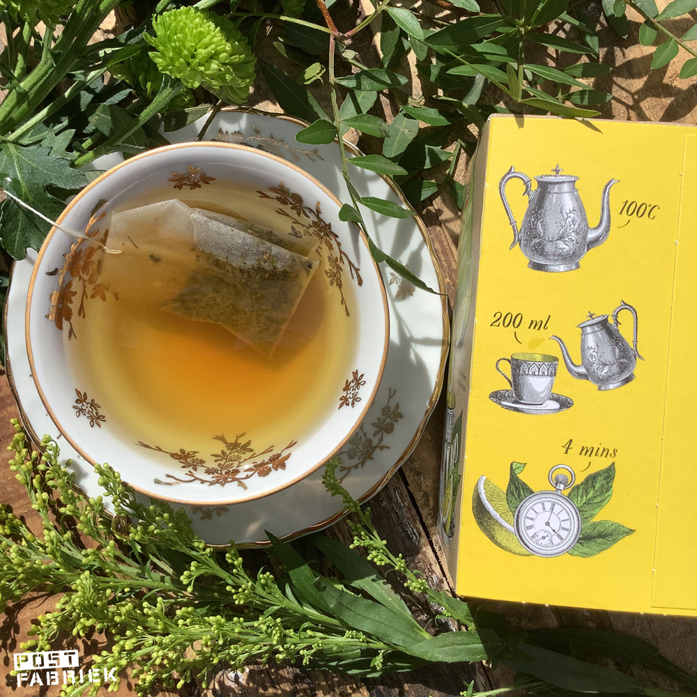 Biologische groene thee met citroen van Picnic in een mooi doosje.